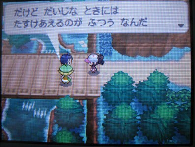 ポケモンホワイトプレイ日記 その１５ ポケモンリーグへ 新 遺跡の草むら
