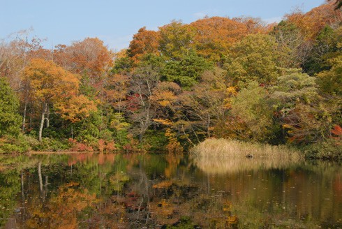 十二湖の紅葉 あうとどあ らいふ