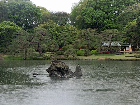 雨の六義園 よくある株の日記２