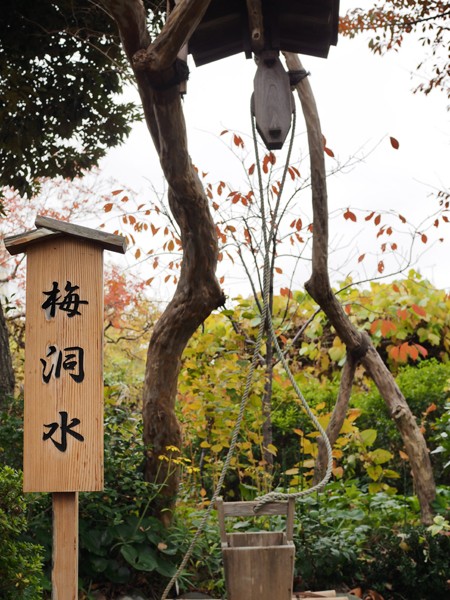 紅葉の向島百花園を歩く よくある株の日記２