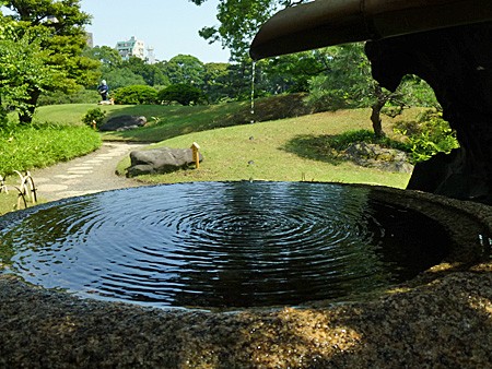 梅雨の晴れ間の清澄庭園 よくある株の日記２