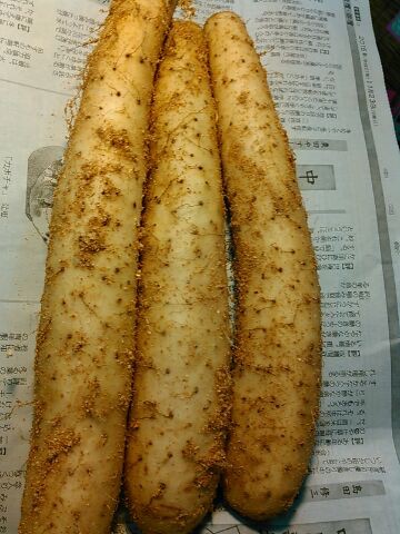 山芋 長芋 をすりおろす時 手がかゆくなる理由と対処法 八百小の四代目 愛知県あま市の八百屋やおこ