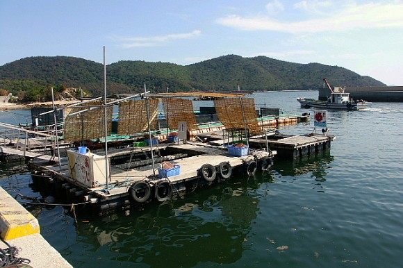 海の駅 しおさい市場 Dimageの世界