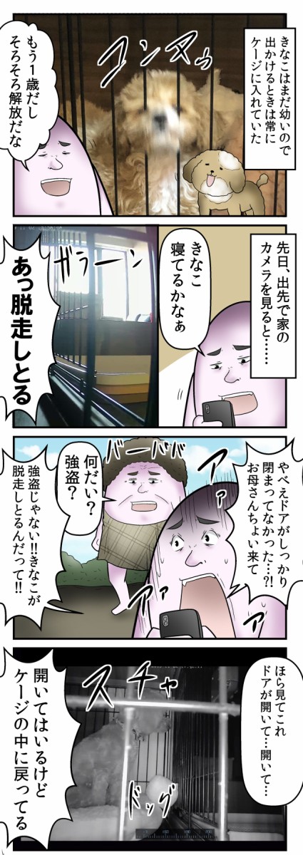 僕と愛犬の 大脱走劇 の話 Web漫画家やしろあずきの日常 Powered By ライブドアブログ