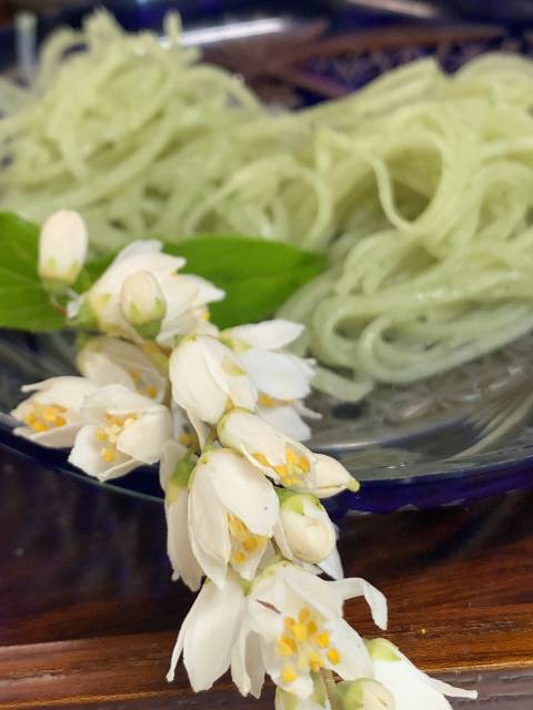 卯月 卯の花が咲く月 ホトトギスの声が 聞こえますね ホンマに けっこうやなぁ