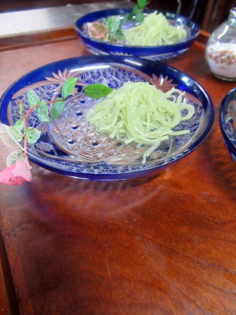 ハツユキカズラの花言葉 ステキになって ホンマに けっこうやなぁ