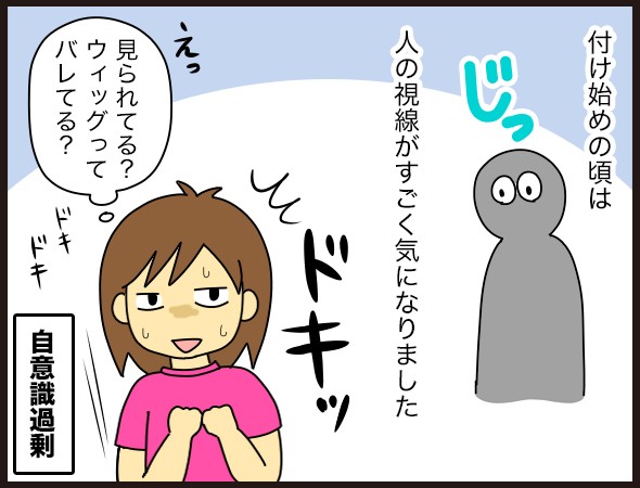 髪 部分ウィッグってどんな感じ 4 4 ダンナ様は安月給 Powered By ライブドアブログ