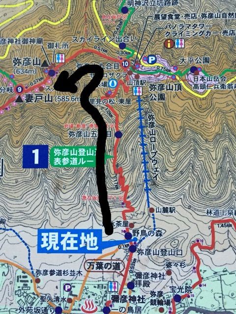 弥彦山634m 我が家とキャンプとエトセトラ