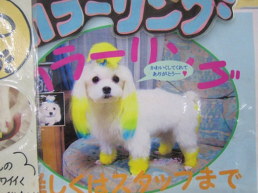 ひとはなぜ染めるのか 八ヶ岳ずくなし日記