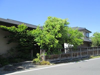 和の食 磯貝 わぁ いいっ