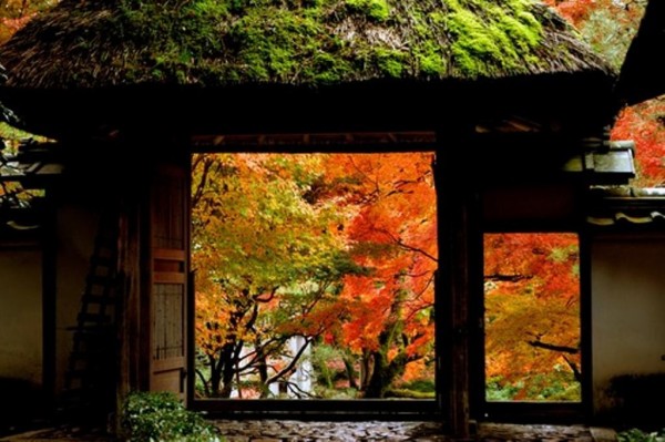 鷹峯のもみじ寺 非公開の紅葉隠れ寺へ 歩きを楽しむ