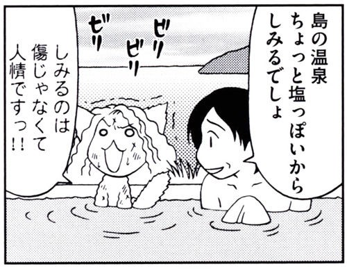猫耳化エッセイの代表作となるか？『女ひとりで島に移住しました 
