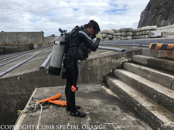 作業潜水の港で スペシャルオレンジ御蔵島ガイドサービス