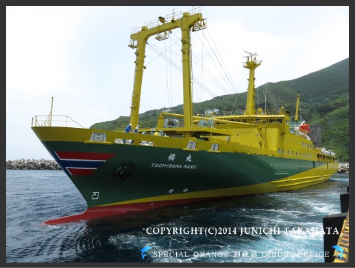 東海汽船に乗ってみた。 : スペシャルオレンジ御蔵島ガイドサービス