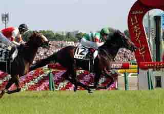 クラシック番付2018 弥生賞2018 有力馬考察 Boss猿のアナログ肉眼競馬