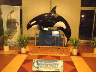 ワ 水族館 鴨川シーワールド編２ けみょのルーム