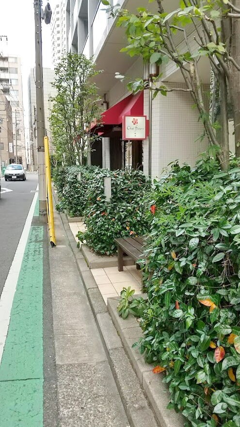 シェ フルール 横濱 Chai Fleurs 横浜 平沼橋 フレンチ ネット予約可 食べログ