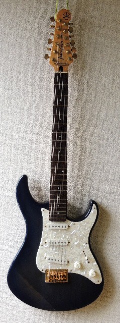 YAMAHA Pacifica PAC303-12 : Photo by YO-RI ｢日々雑食」 ～館山・南房総～