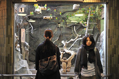 映画１５５ カケラ ネタバレ 楽しいだけじゃ楽しくない