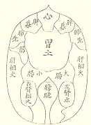 助産師さんのための東洋医学講座準備 6 逆子と肋骨の動き 鍼灸師のツボ日記