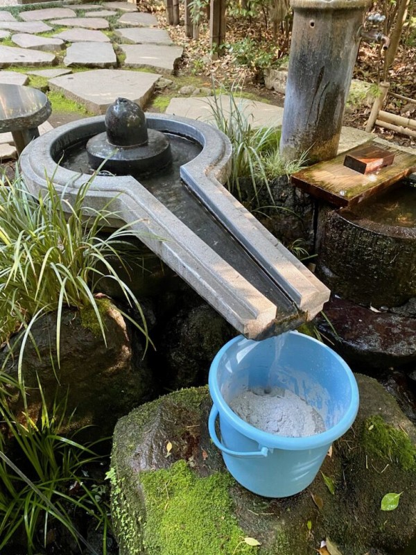 白い椿の花言葉 よろこび企画 ゆめの舞