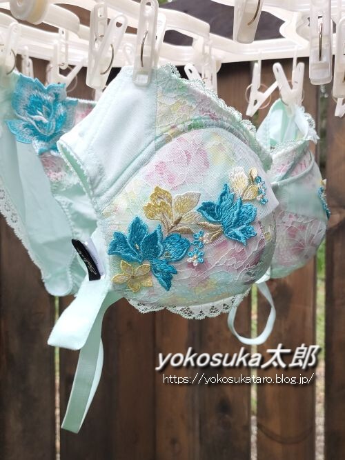 洗濯物エロ下着 外干しされた妻の下着 : ランジェリーの刺繍 妻の下着ブログ