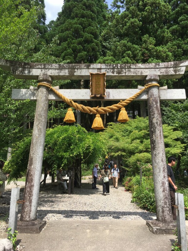 春 夏の モネの池 岐阜県関市 へマイカーで行く人は必見 これは都会では味わえないですね 私のなんでも日記