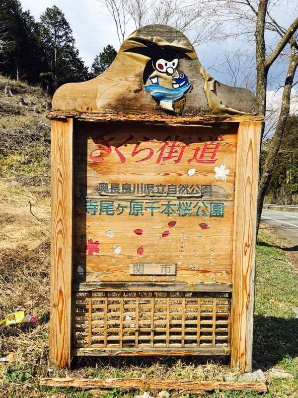 4月上旬 中旬に モネの池 観光される方は必見 寺尾ヶ原千本桜 とセットで贅沢観光しなきゃ損ですよ 岐阜県関市 私のなんでも日記