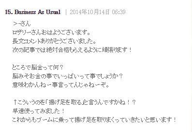 ロザリー Vs ビジネスまとめ 前編 ２０１４アストルティア納涼花火大会まとめ 仮
