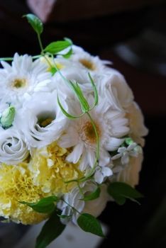 沼津のお花屋さん4 嫁なまはげ日記