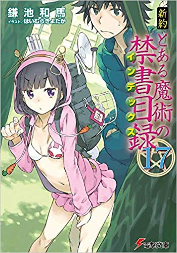 新約とある魔術の禁書目録17巻 情報戦開始 美琴と合流できたが 第17巻を今更読んでみたよ 感想 レビュー とあるブログ とある小説の自己保存