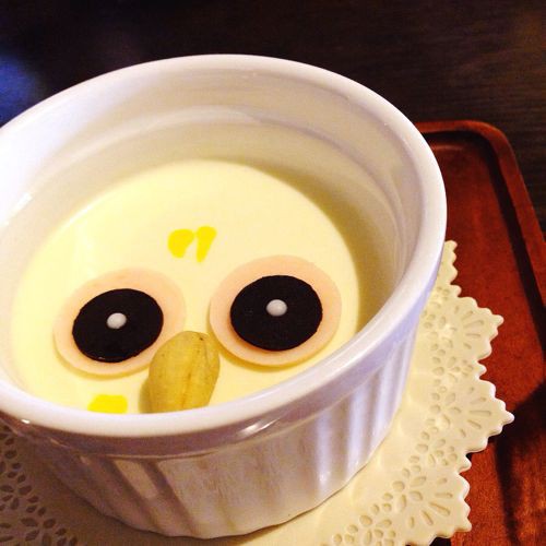 フクロウカフェこと東京木場の 鳥のいるカフェ が天国 その2 かわいい写真編 ヨノハテ