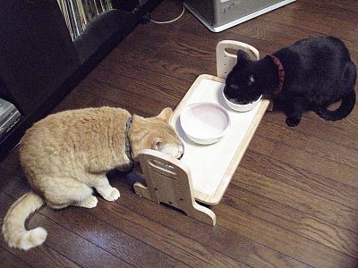 やんちゃ猫にGood！「ウッディーダイニング」♪＿黒猫な日常：クロネコ 