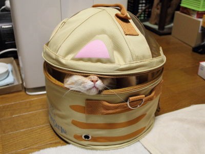 第1弾 クリスマスプレゼント13 猫くるりんバッグ 黒猫な日常 クロネコ 黒龍 酒とロックな日常