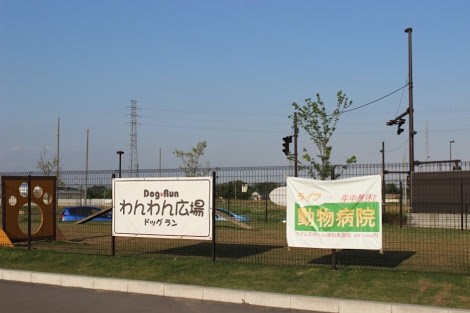 無料ドッグラン カインズホーム浦和美園 ドッグラン 孤独のグルメっ娘