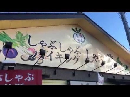 埼玉県幸手市 しゃぶ葉幸手店 孤独のグルメっ娘