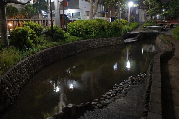 夜散歩のススメ34 古川親水公園 下がり上がり 夜散歩のススメ