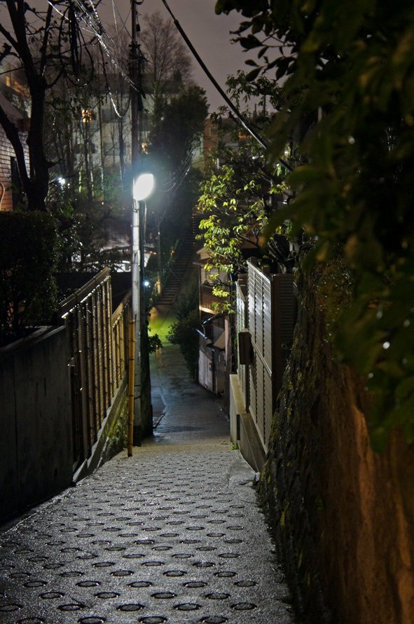 夜散歩のススメ1050 ｖ字坂の釣堀坂 夜散歩のススメ