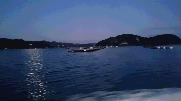 こじま渡船 鳥羽 おんたけ釣師