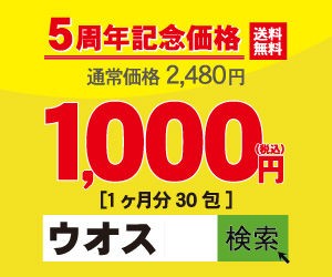 17 カミカゼ ニュースまとめ カミカゼニュース