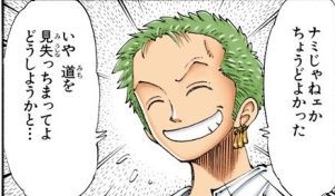 ナミ 右に行こう ゾロ よしわかった ナミ そっちは左だぁー これ ワンピースのまとめ