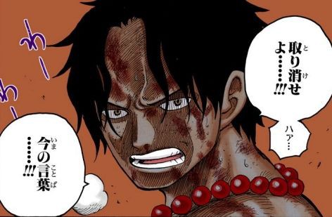 エース 敗北者 お前ら あんな幼稚な煽りでブチギレるとかw ワンピースのまとめ