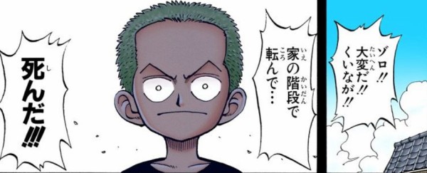ワンピース ゾロの幼馴染のくいなの死に方って ワンピースのまとめ