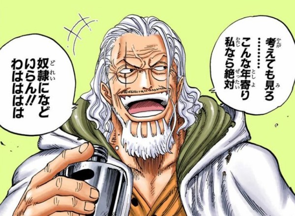 レイリー 頂点まで行ってこい ワイ はえ めちゃくちゃ強くなったんやろなあ ワンピースのまとめ