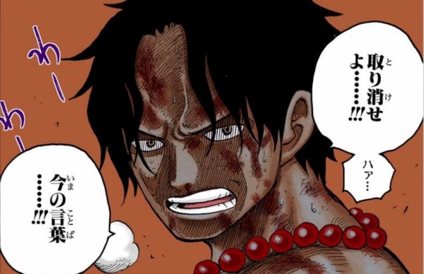 赤犬 お前の父ちゃんバーカ エース 取り消せよ 今の言葉 ワンピースのまとめ