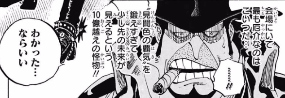 朗報 ルフィさん レイリーが化け物扱いする人間に肩を並べてしまう ワンピースのまとめ 朗報 ルフィさん レイリーが化け物扱いする人間に肩を並べてしまう ワンピースのまとめ