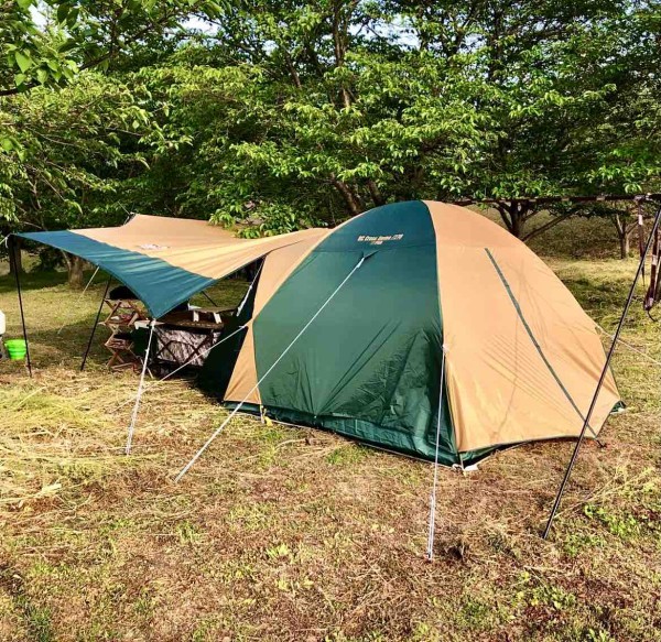 人気定番新品 Coleman - アルファベット1710様 Coleman BCクロスドーム