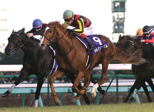 金色の暴君オルフェーヴル三歳四冠 有馬記念 奮闘記