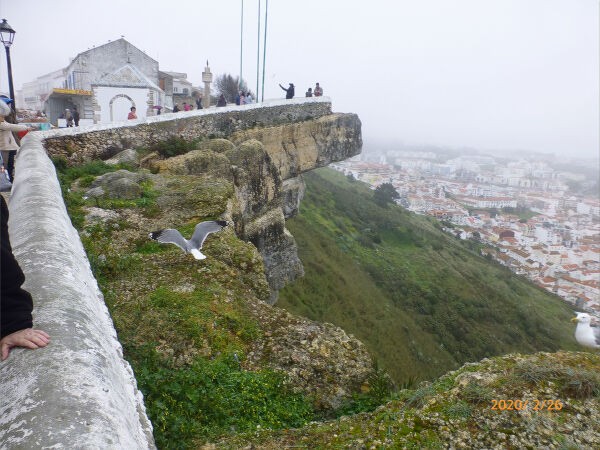 ポルトガル旅行 ナザレ観光 一病息災 日本酒が旨い