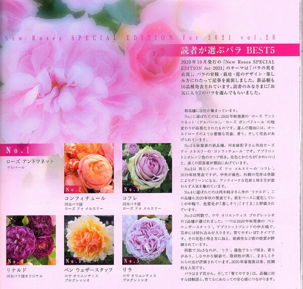 New Roses 21 Vol 29 一病息災 日本酒が旨い